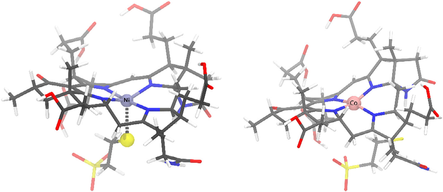 Structures comparing the cobalt corrin with the nickel corphin of coenzyme F430.