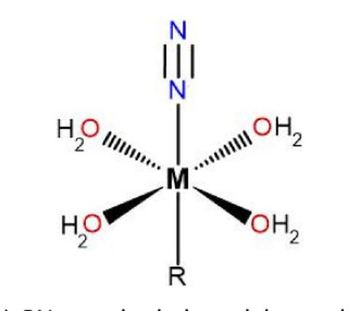 Octahedral metal model with four water ligands, an axial R ligand and an end-on N2.