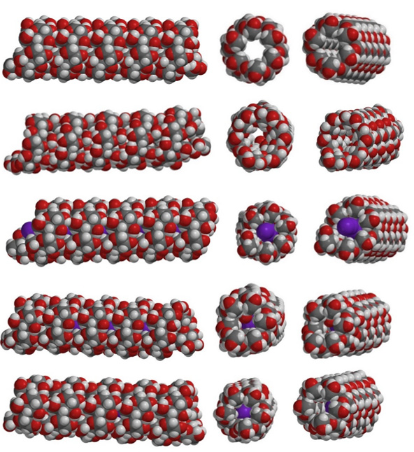 Iodide chains threaded inside the helical amylose cavity of the iodine–starch complex.