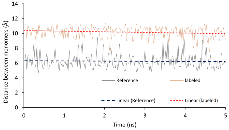 Molecular-dynamics trace of the inter-monomer distance in hemerythrin.